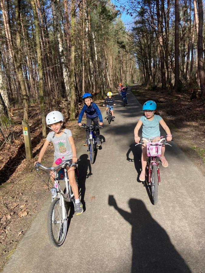B&B Crijbohoeve Zutendaal Eksteriør billede
