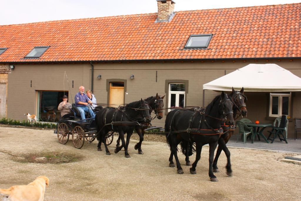 B&B Crijbohoeve Zutendaal Eksteriør billede